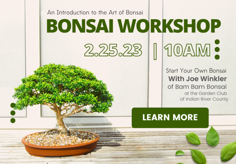 Bonsai Workshop Feb 25 2023