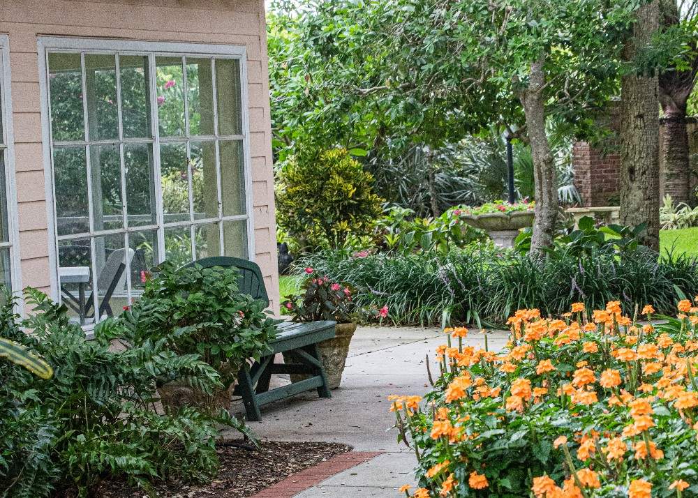 Grounds landscape with orange flowers