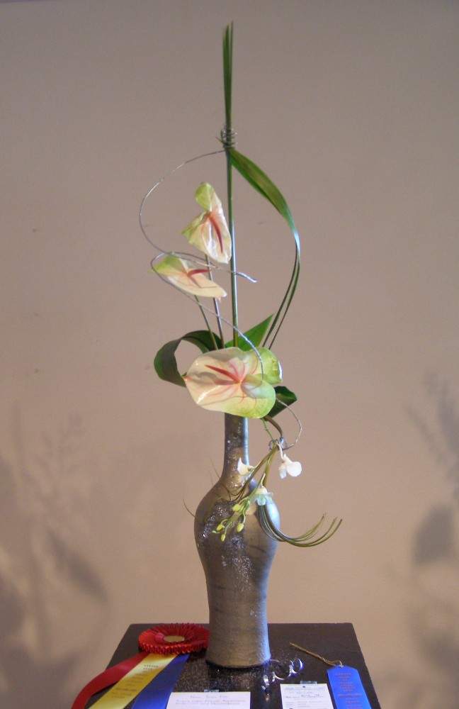 Plant on table with award ribbons