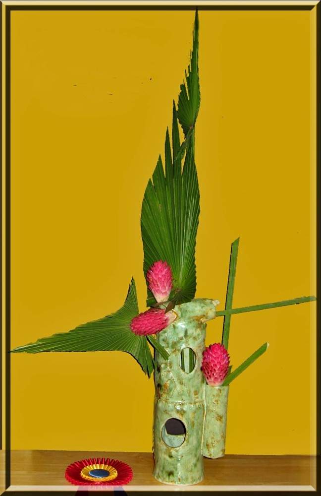 Top award plant with green leaves in front of yellow background