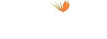 footer-logo