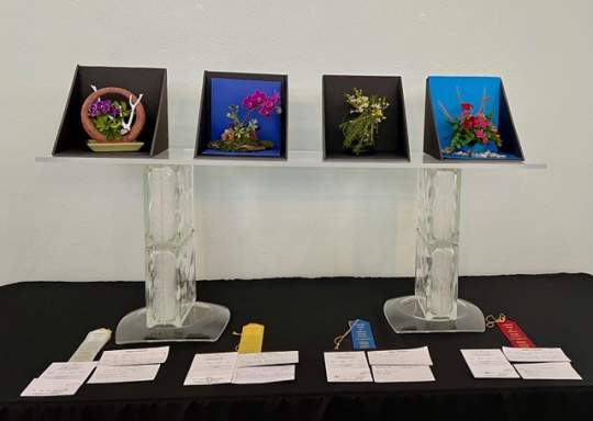 2024 Flower Show00001