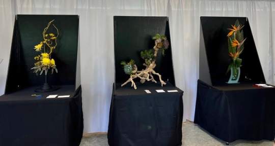 2024 Flower Show00003