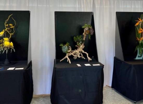 2024 Flower Show00003