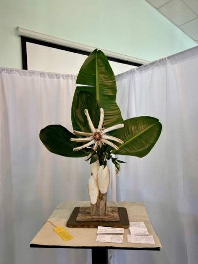 2024 Flower Show00015