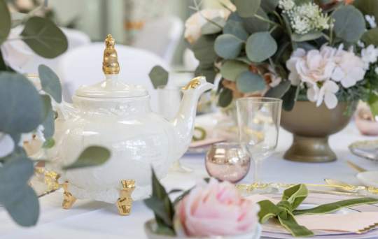 Birthday Party Rental Photos00009