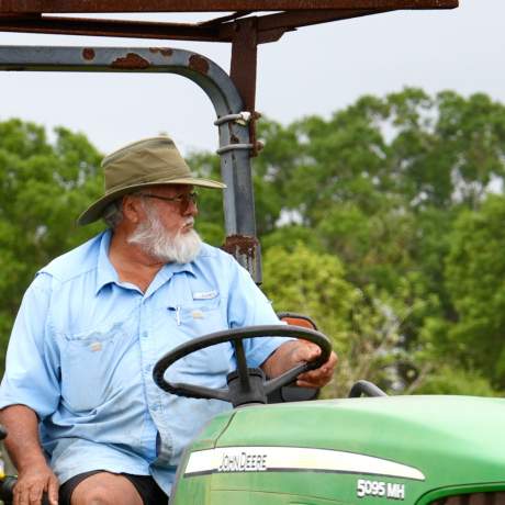 Shining Light Garden DSC01257