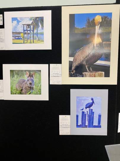 Garden-Club-Indian-River-County-Flower-Show-202200002