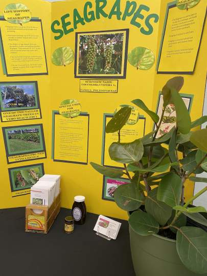 Garden-Club-Indian-River-County-Flower-Show-202200009