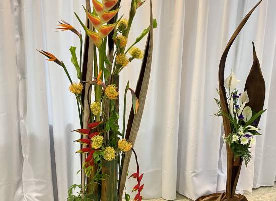 Garden-Club-Indian-River-County-Flower-Show-202200016