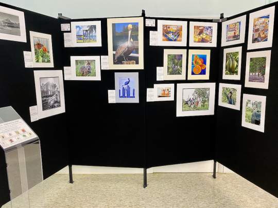 Garden-Club-Indian-River-County-Flower-Show-202200021