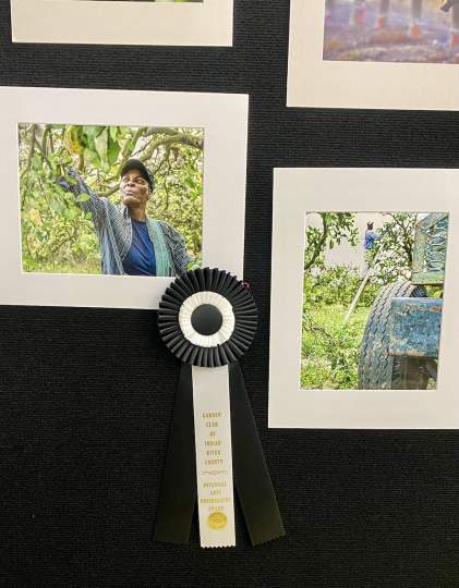 Garden-Club-Indian-River-County-Flower-Show-202200030