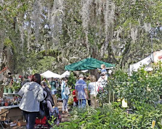 Gardenfest 2024 Photos00005.JPG