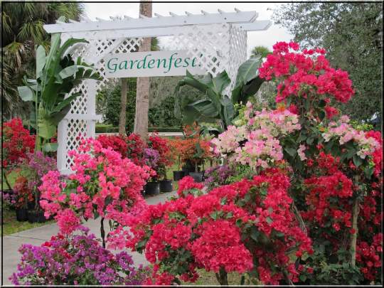 Gardenfest 2024 Photos00010