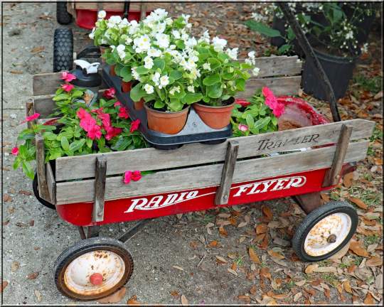 Gardenfest 2024 Photos00015