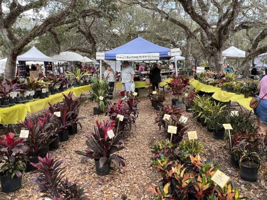 Gardenfest 2024 Photos00021.JPG