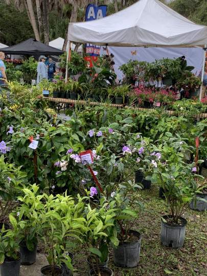 Gardenfest 2024 Photos00022