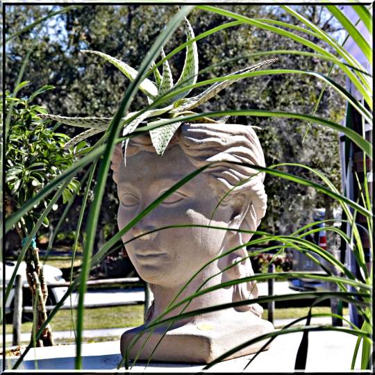 Gardenfest 2024 Photos00031