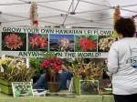 Hawaiian Hei flower booth at gardenfest