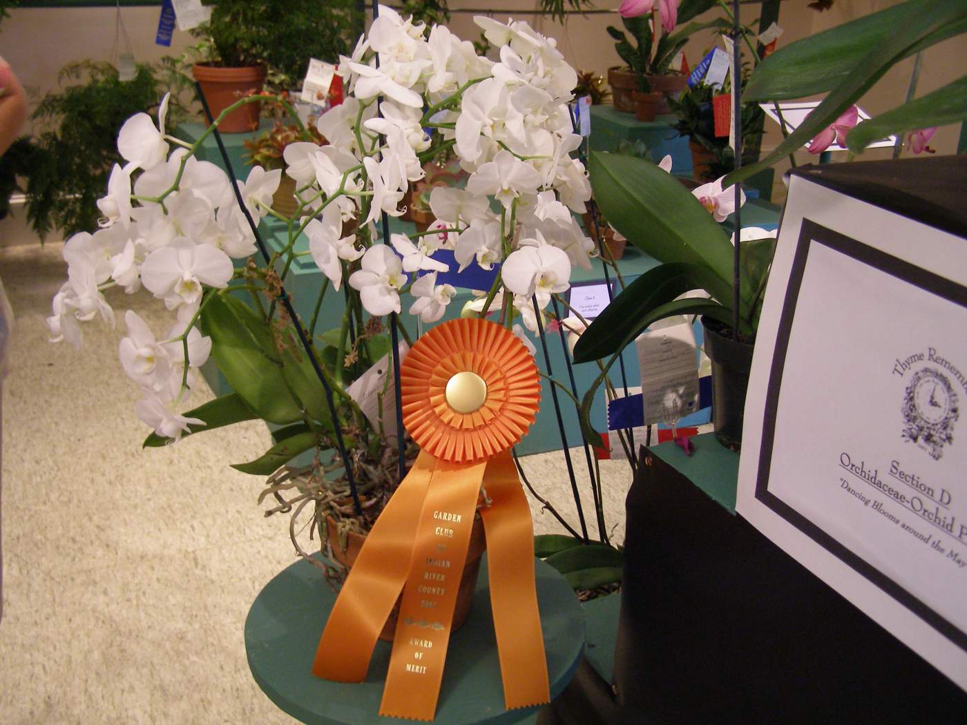 Orange ribbon on a white flower arrangement