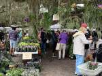 People browsing different flower stations at Gardenfest at gardenfest