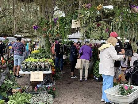 People browsing different flower stations at Gardenfest
