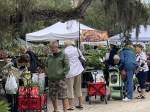 People with rolling carts browsing plants at gardenfest