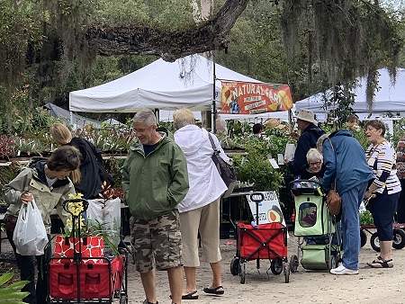 People with rolling carts browsing plants