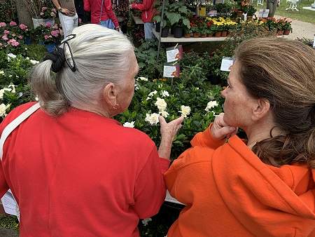 Two women looking at white flowers